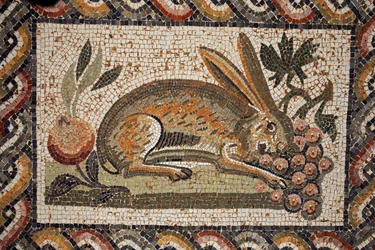 Mozaïek die een haas met een spiedende blik toont die een tros druiven graast (2e helft van de 2e eeuw n.Chr.)/in situ in El Jem (Antiek Thysdrus)/Tunesië