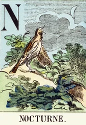 N: Nocturne - Het Jachtalfabet, ca. 1890 (gravure)