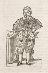 Dwerg van de Zeer Illustere D
