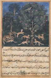 Pagina uit Verhalen van een papegaai (Tuti-nama): Vijfde nacht: De papegaaienmoeder waarschuwt haar jongen voor het gevaar van spelen met vossen, ca. 1560