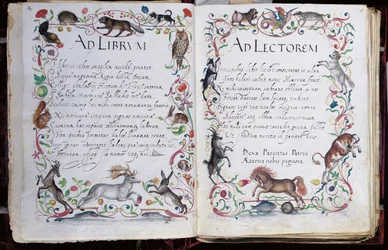 Pagina