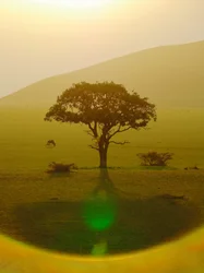 Paradijs na de regen, Chyulu Hills