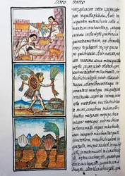 Verenverwerking, tekst in Nahuatl, uit facsimile van manuscript Algemene Geschiedenis van de Dingen van Nieuw-Spanje, ook bekend als Florentijnse Codex, door Bernardino de Sahagun
