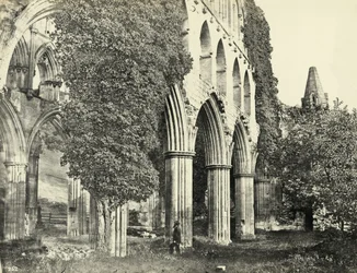 Rievaulx Abbey, North Yorkshire, VK