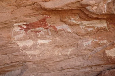 Rotstekeningen, Prehistorie: Schildering van een groep vee in een versierd onderkomen, in het Uweinat-massief, Soedan. Fotografie