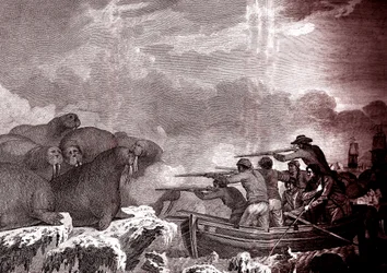 Zeehondenjacht in de Stille Oceaan