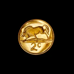 Zuid-Afrikaanse 2 cent munt