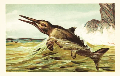 Stenopterygius quadriscissus, uitgestorven ichthyosauriër