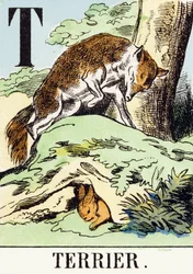 T: Terrier - Het Jachtalfabet, ca. 1890 (gravure)