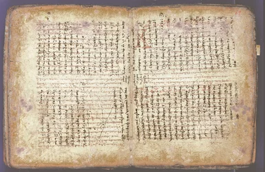 Het Archimedes Palimpsest