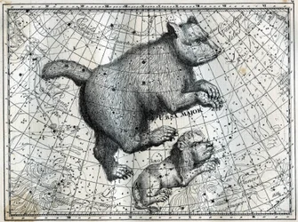 De boreale sterrenbeelden: de Grote Beer en de Kleine Leeuw. Gravure uit Camille Flammarion