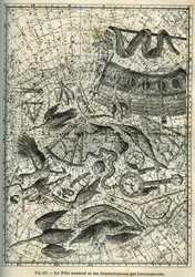 De Zuidpool en de omliggende sterrenbeelden: Onder de vele sterrenbeelden van de Zuidpool zijn de Indiër, de Feniks, de Brasem, de Octant, de Klok, het Kompas en het Schip. Gravure uit Camille Flammarion