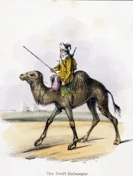 De Snelle Boodschapper