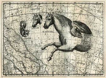 Het sterrenbeeld Pegasus, getekend als de voorste helft van een paard met een paar vleugels, het Kleine Paard, een paardenhoofd, en de Dolfijn. Gravure uit 