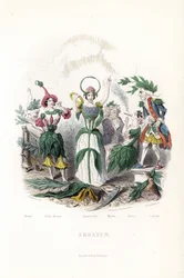 De bloemenfeeën, die van de olijf, slapend in een katoenen muts, de nachtschone, de immortelle met een kroon en een slang aureool, de mirte in een oude man, de tabak die de sigaar rookt en de laurier in een oude musketier - Ets door Charles Geoffroy (1819-