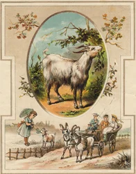 De geit. Gravure in "Mon premier Grand Alphabet". Bernardin-Bechet Edition, Parijs, circa 1890. Illustraties door A. des Lilleuls.