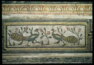 Twee pauwen, detail van een decoratieve rand van een mozaïekvloer met de seizoenen en jachttaferelen, uit de Constantijnse villa te Daphne, Romeins, ca. 325-330 n. Chr. (mozaïek van marmer, kalksteen en glas) (detail van 105665)