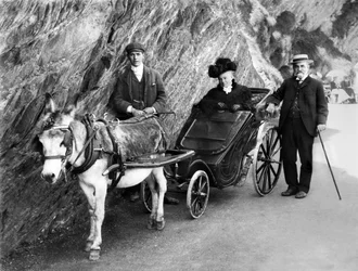 Verenigd Koninkrijk: Een door een ezel getrokken invalidenwagen. 1906