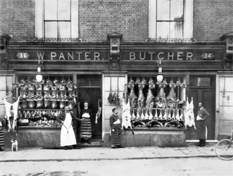 Verenigd Koninkrijk: Panter