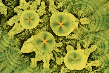 VITAMINEN, LM Ascorbinezuur/natriummix