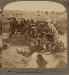 Artilleriepaarden water geven, Welgelegen, Zuid-Afrika