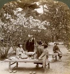 Een familie geniet van een picknick onder de kersenbloesems, Omuro Gosho, Kyoto, Japan, 1904