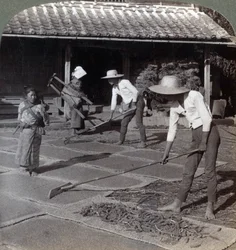 Boeren met bamboeharken die gierst op matten verspreiden om te drogen voor de winter, nabij Yokohama, Japan, 1904