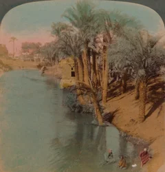 In de Fayum, de rijkste oase in Egypte aan de Bahr Yussef rivier Jozef, naar de Nijl, 1902