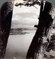 Mount Fuji, gezien vanuit het noordwesten, door dennen bij Lake Motosu, Japan, 1904