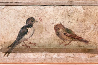 Zwaluw en Mus, Romeinse muurschildering uit Boscoreale bij Pompeii, 1e eeuw