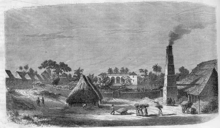 Een snoepfabriek op het eiland Cuba in 1869.