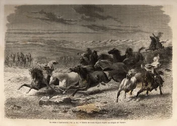 Een rodeo in Lauramarca (Laag-Peru), de vangst van wilde paarden, voordat ze gemerkt worden met de initialen van de eigenaar van de regio, beschouwd als een compleet spektakel, veel toeschouwers verzameld. Gravure ter illustratie van de reis in de valleien
