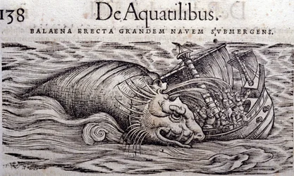 Een walvis vernietigt de romp van een boot en veroorzaakt het zinken. Gravure in Historia Animalium door Conrad Gesner (1516 - 1565), Tiguri