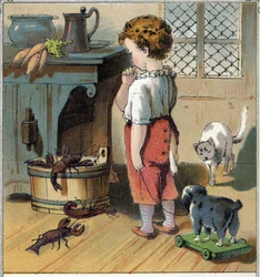 Adolphe duwt uit nieuwsgierigheid, maakt gebruik van het feit dat hij alleen in de keuken is om de emmer met rivierkreeften te benaderen. Een van hen grijpt zijn vinger met zijn scharen en verwondt hem. Chromolithografie uit 