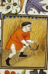 Allegorische voorstelling van juli. Oogst: een boer maait gouden tarwe. Miniatuur van een 14e-eeuws manuscript