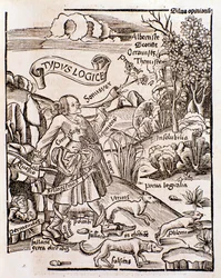 Allegorie van logica uit Margarita philosophica door Gregor Reisch (1508)