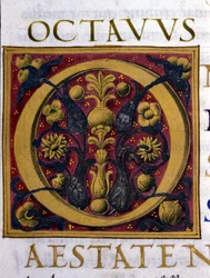 Alfabet: miniatuurletter O