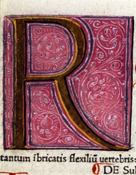 Alfabet: miniatuurletter R
