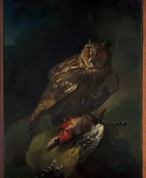 Een uil met zijn prooi