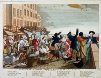 Verschijning van de beroemde komeet (1811) gezien vanaf de Quai de la Vallee in Parijs