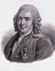 Carl Von Linné Zweedse natuurkundige en schrijver (1707 - 1778)
