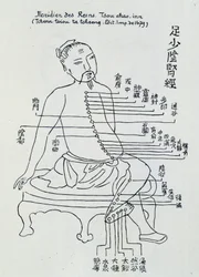 Chinese acupunctuur: de meridiaan van de nieren