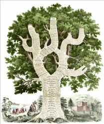 Chronologische kaart van de Amerikaanse geschiedenis opgedragen aan het volk van de Verenigde Staten door de uitgever. Gravure ca. 1881