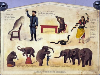 Circus: een bord dat verschillende soorten shows van geleerde dieren toont met zeehonden, olifanten, beren, slangen. Illustratie uit de 19e eeuw
