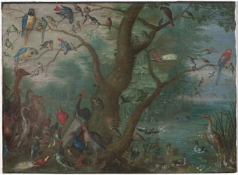 Concert van vogels
