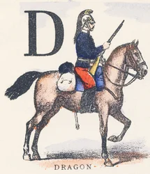 D: draak