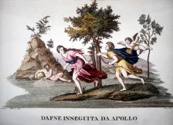 Daphne achtervolgd door Apollon - in Dizionario mitologico