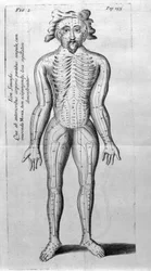 De Acupunctura door W.Ten Rhijne. Londen 1683. Eerste westerse tekst over acupunctuur