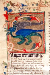 Draak Gedecoreerde Initiaal (detail van een 14e-eeuws manuscript)