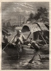 Ambassade van Lord George McCartney (1737-1806) in China (1792-1793): De vogel Leut-ze, staat voor vissen (aalscholvervissen) - illustratie uit 